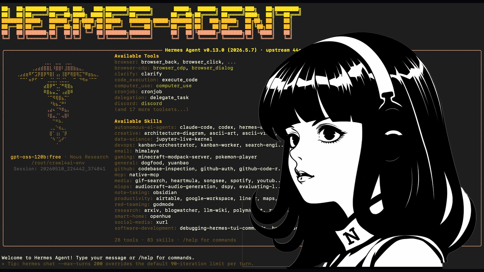 Hermes Agent